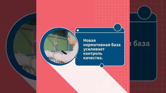 Новые требования и стандарты для сертификации продукции в РФ —sertex.org