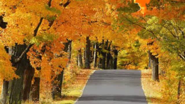 ВСЕ ПОЧЕСТИ ! ! ! смотреть онлайн