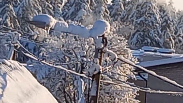 5 декабря 2023 г.Дятел электрик! смотреть онлайн