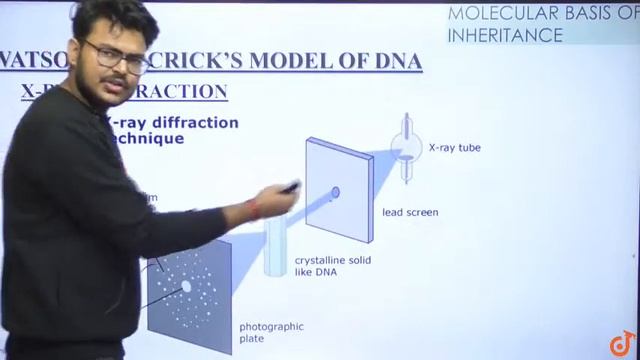 MOLECULAR BASIS OF INHERITANCE |Double Helix Model Of DNA |Class 12 Biology |11AM Class By Vinay Si смотреть онлайн