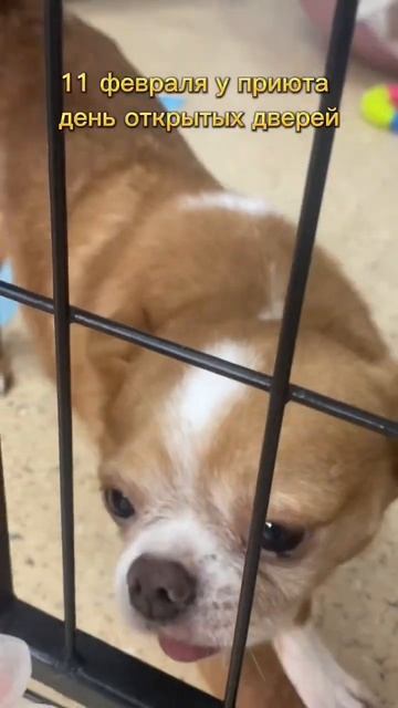 Москва Угрешская 2 ст 3 смотреть онлайн