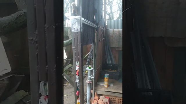 14.11.2023🤔ОМАР ХАЙЯМ ПРОТИВ БУЛАТА ОКУДЖАВЫ.🤷♂️ смотреть онлайн
