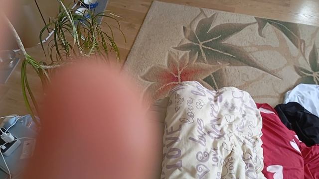 1000012563.mp4 смотреть онлайн