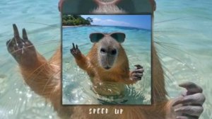 РАНДОМНЫЙ ПЛЕЙЛИСТ ПЕСЕН ИЗ ТИК ТОКА