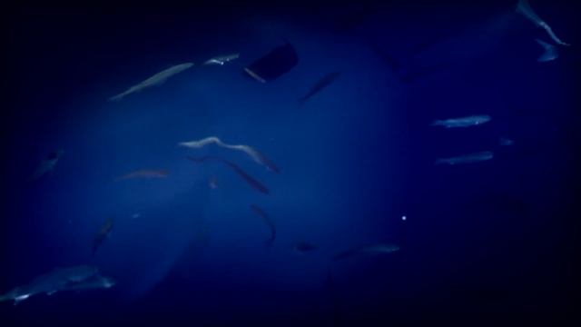 Яхтенный проект AVENTURA YACHTING CLUB. Турция 2012 Мармарис. смотреть онлайн