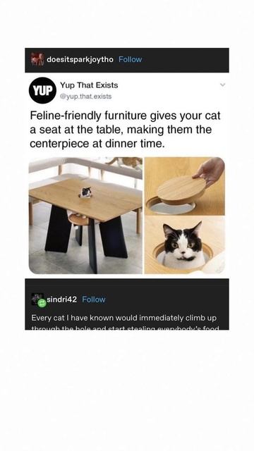 A Cat Tumblr Post смотреть онлайн