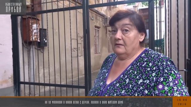 Оборвалась большая ветка возле жилого дома. ул. Маланова,8. Одесса смотреть онлайн