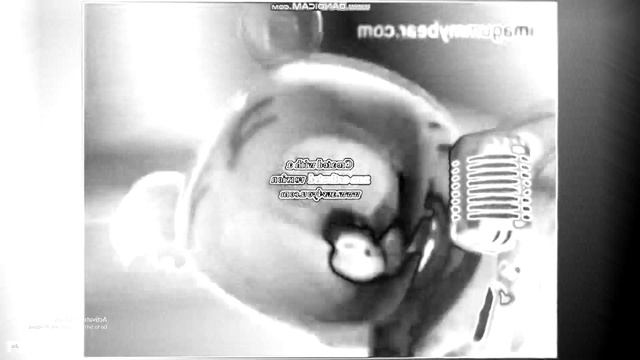 Preview 2 Gummy Bear Effects Sponsored By Preview 2 Effects In Black And White Chorded смотреть онлайн