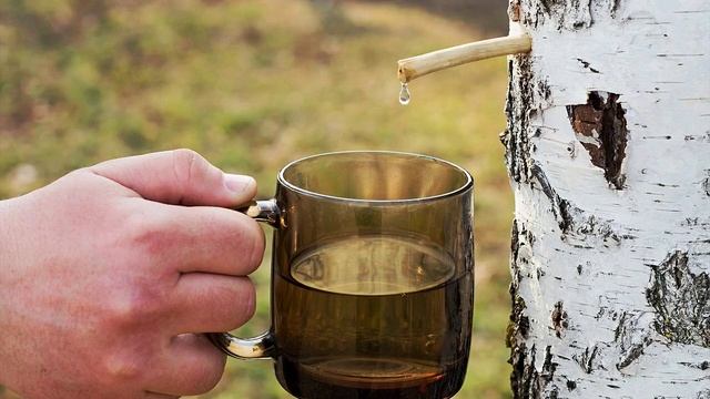Пётр Игнатов Вот и снова нужна мне весна смотреть онлайн