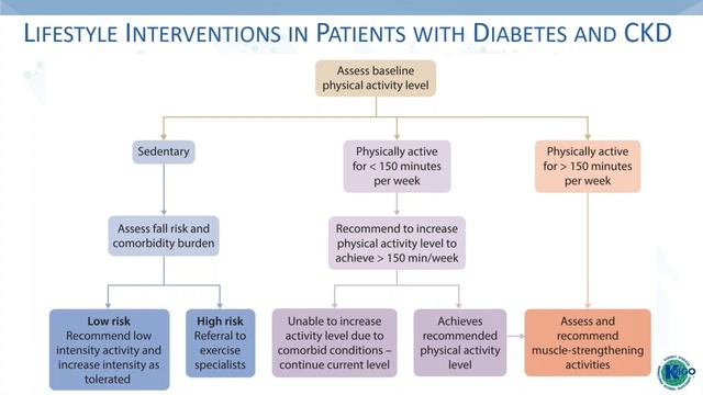 KDIGO-ISN Diabetes Management in CKD Guideline Webinar смотреть онлайн
