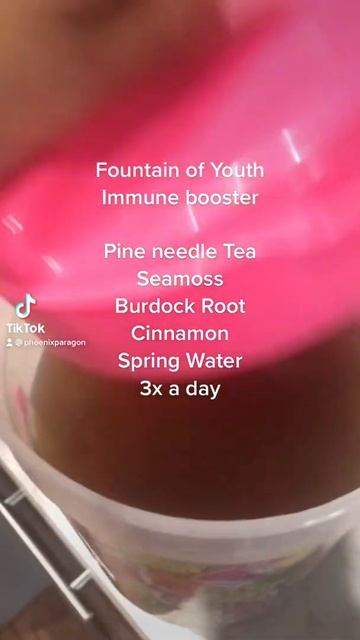 Immune Booster for Covid - Seamoss and Pine Needle Tea 3x a day смотреть онлайн