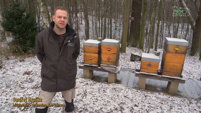 Přednáška v Zoo Ostrava: Co se dá udělat pro přírodu pestřejší? смотреть онлайн