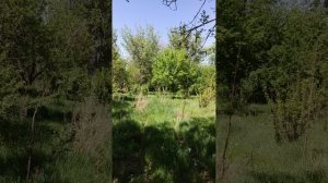 Мудрость ПРЕДКОВ и ОПЫТ жизни 2-а... ОБЪЯВЛЕНИЯ