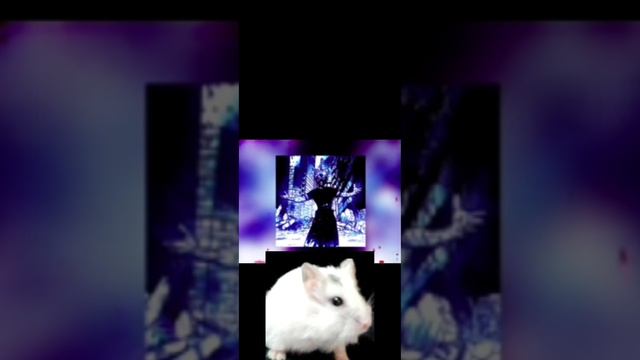 Жоский Фонк☠️ (хомяш) смотреть онлайн