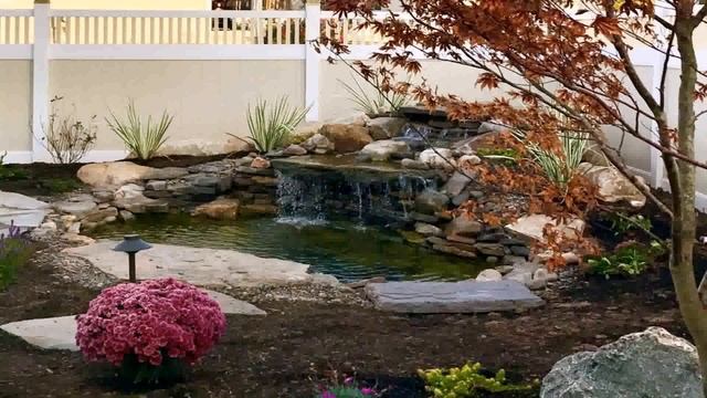 Backyard Design Companies Near Me смотреть онлайн