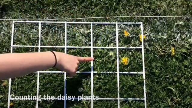 Field investigation transect смотреть онлайн