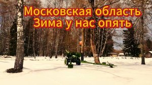 Московская область Городок в лесу снег кругом  #москва#путешествиеинтересныефакты
