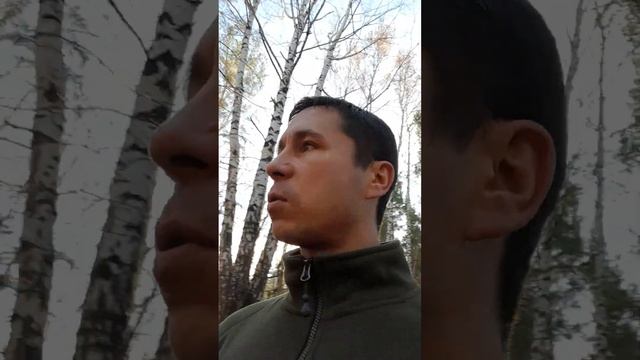 ВСЯ ПРАВДА! ЧИСТКА ТАРО, СНЯТЬ ПОРЧУ ТАРО!? Александр Пичуев смотреть онлайн