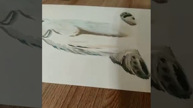 Рисую белого медведя смотреть онлайн