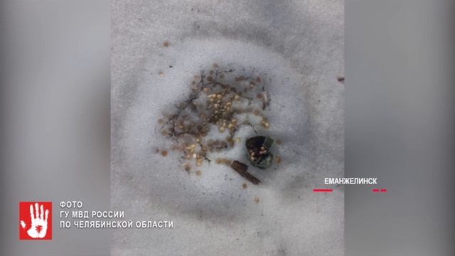 Мужчина в Еманжелинске взорвал страйкобольную гранату в жилом дворе смотреть онлайн