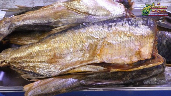 ЗАСОЛКА РЫБЫ В ТУЗЛУКЕ, солим рыбу профессионально со 100% результатом