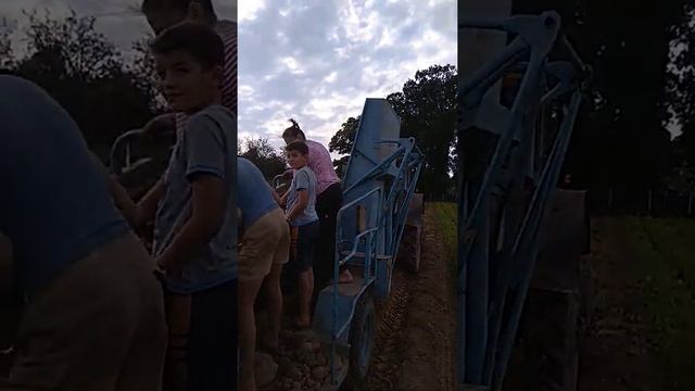 Уборка картофеля молодечно смотреть онлайн