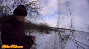 Ловля певчих птиц - Самая короткая ловля певчих птиц .