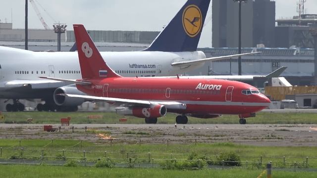 Aurora Boeing 737-200 RA-73003 Landing and Takeoff | Narita Airport | 成田空港 | オーロラ航空 | NRT/RJAA смотреть онлайн