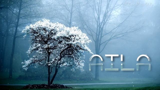 Aila Timeless Shore- Amazing Relax Music смотреть онлайн
