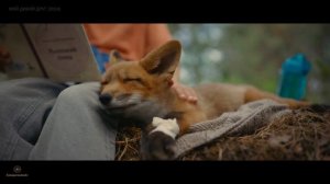 Мой дикий друг (2024)