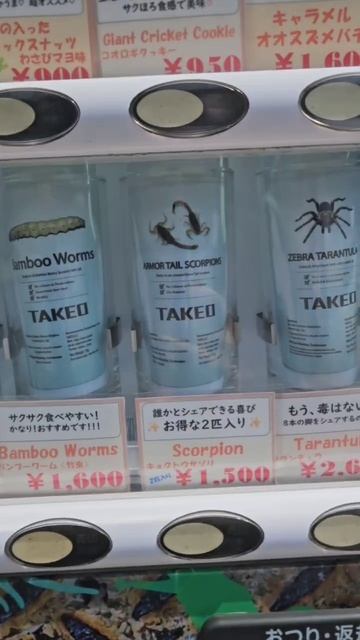 Что едят-пьют в Японии.... смотреть онлайн