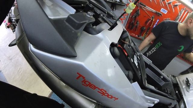 Βάλαμε QUICKSHIFTER στο TIGER ! + Led φλασάκια ! Motovlog#14 смотреть онлайн