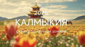 Сафари по Калмыкии | Автопутешествие в поисках сайгаков и розовых пеликанов #влог