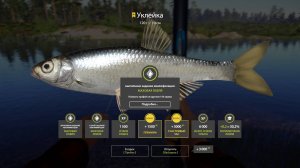 ТРОФЕЙ УКЛЕЙКА РЕКА БЕЛАЯ - РУССКАЯ РЫБАЛКА 4