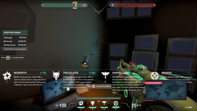 Skye's Final Stand - 12.2022 - Valorant Audio Log смотреть онлайн