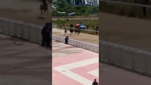 13.06.2020. Чолпон-Ата "Тай чабыш" смотреть онлайн