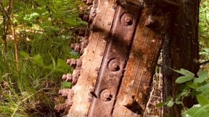 Удачно съездил в лес. Копаю, он не кончается.