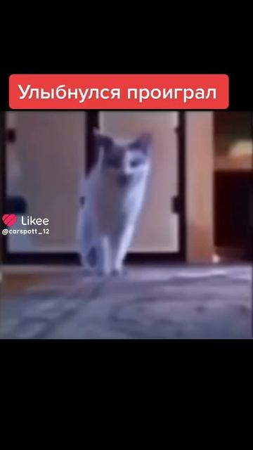 засмеялся проиграл