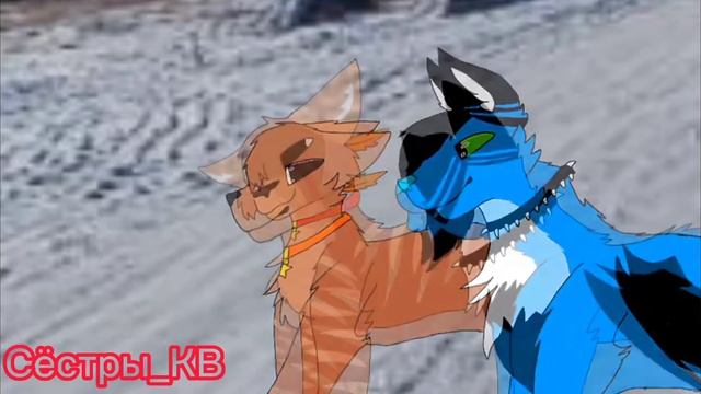 ✨°{Яха проганяет собаку Снежинка летит за сестрой чтобы спасти её} °✨ смотреть онлайн