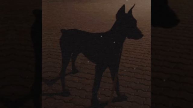 Мои любимые любимые фотки брайна 😍❣️ смотреть онлайн