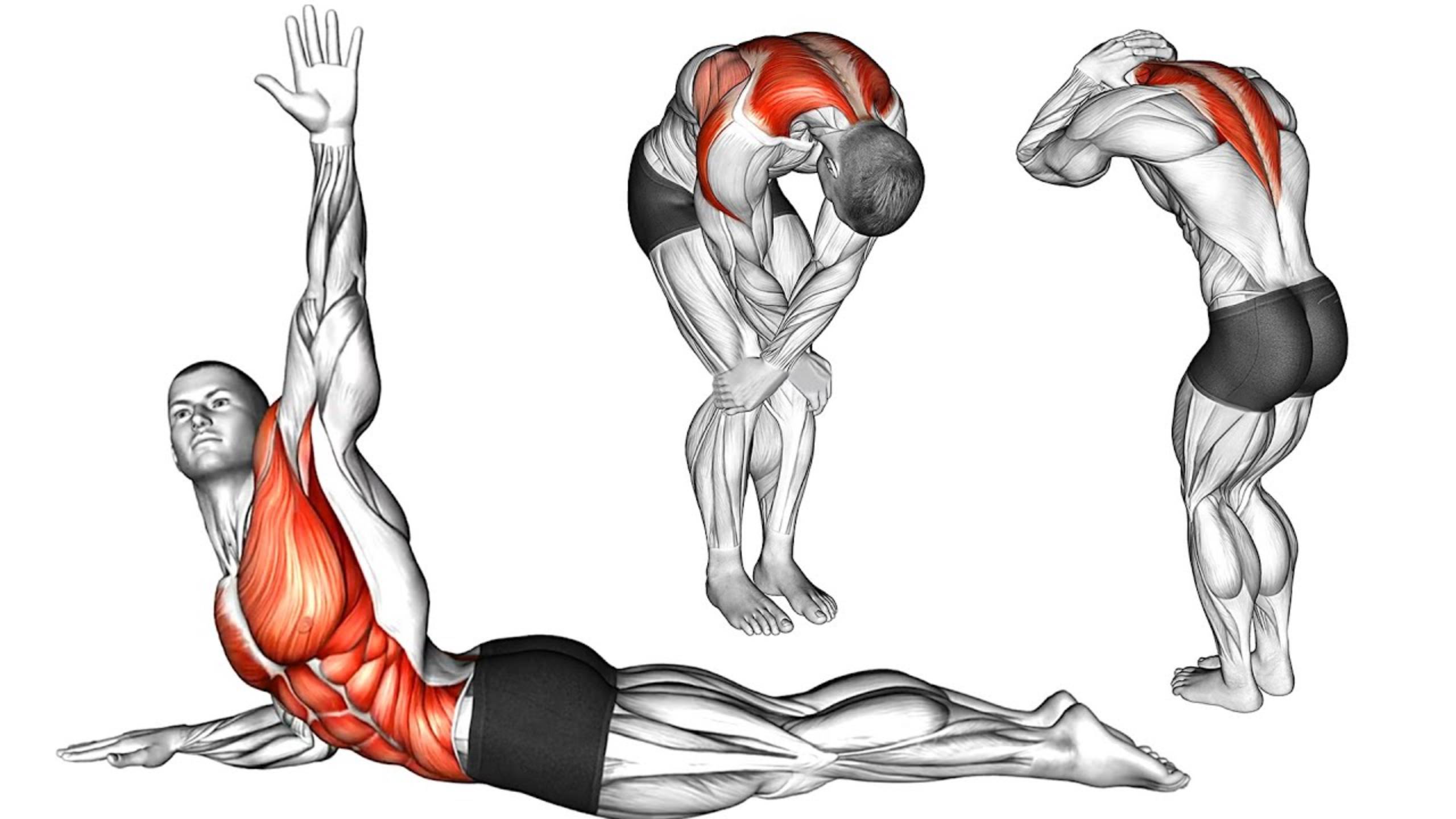 Идеальная осанка за 5 минут — лучшее упражнение для осанки