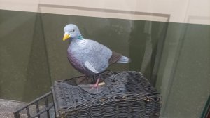 Артиллерийский музей в Петербурге