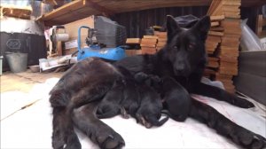 В моём зоопарке пополнение .