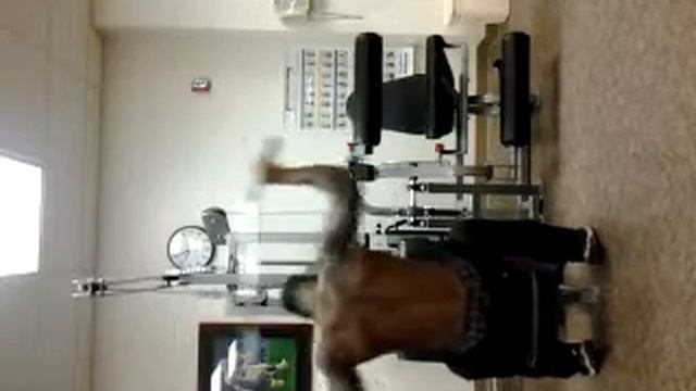 mongoose morris 100 смотреть онлайн