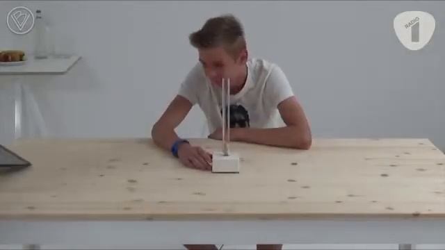 Кто умнее человек или обезьяна? смотреть онлайн