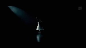 Чёрный лебедь Black Swan (2010)