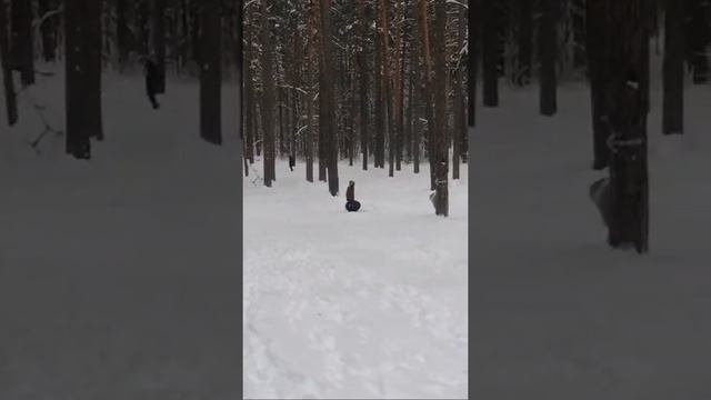 RUSSIA ТОЛЬЯТТИ ЛЕС КАТАЕМСЯ С ГОРКИ! ЗИМА-YOUTUBE смотреть онлайн