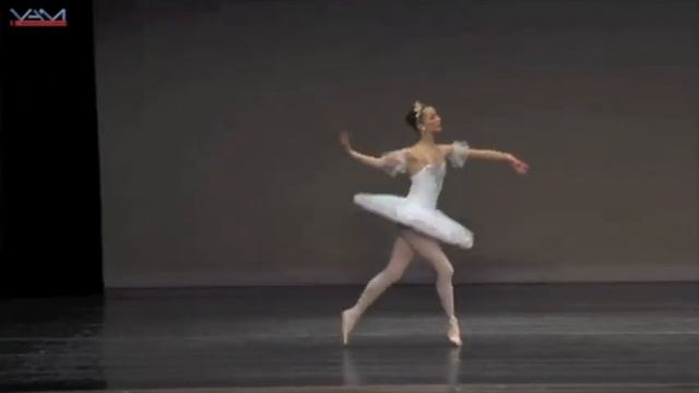 Elizabeth Seibel Age 18 Audition Video 2014 смотреть онлайн