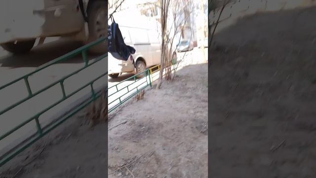 StoryShift! Chara | Скоро лето