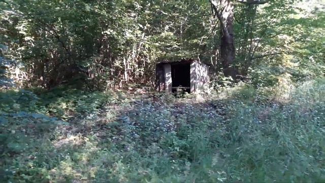 Заброшенная пасека смотреть онлайн